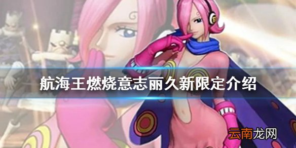 航海王燃烧意志丽久新限定介绍 航海王燃烧意志新限定蕾玖怎么样