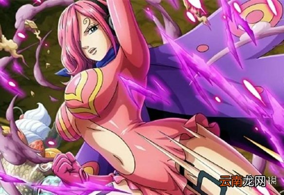 航海王燃烧意志蕾玖新限定猜想 航海王燃烧意志新限定猜想蕾玖介绍