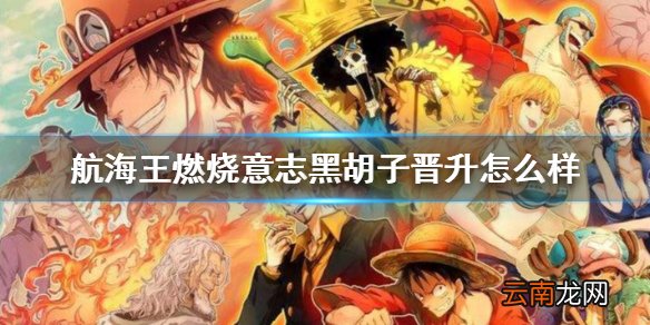 航海王燃烧意志黑胡子晋升怎么样 航海王燃烧意志元旦黑胡子晋升介绍