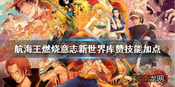 航海王燃烧意志新世界库赞技能加点怎么点 航海王燃烧意志新世界库赞技能加点攻略
