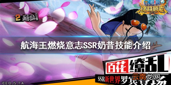 航海王燃烧意志SSR奶昔怎么样 航海王燃烧意志SSR奶昔技能介绍