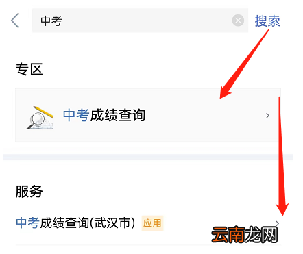 附详细流程 鄂汇办怎么查中考成绩?