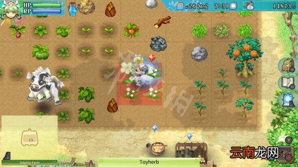 符文工房4特别版春季蔬菜大会怎么玩 春季蔬菜大会玩法分享