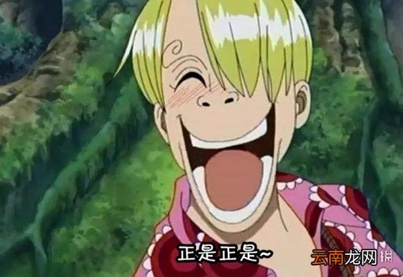 航海王燃烧意志草帽团阵容搭配攻略 航海王燃烧意志草帽团那个值得培养