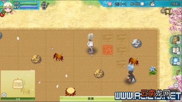 符文工房4特别版怎么玩 符文工房4sp新手教程图文全解析 基本操作