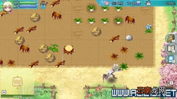 符文工房4特别版怎么玩 符文工房4sp新手教程图文全解析 基本操作