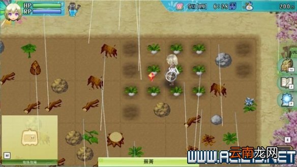 符文工房4特别版怎么玩 符文工房4sp新手教程图文全解析 基本操作