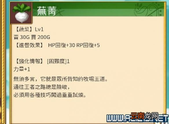符文工房4特别版怎么玩 符文工房4sp新手教程图文全解析 基本操作