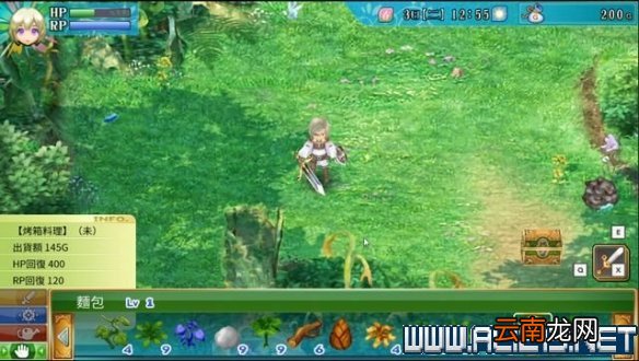 符文工房4特别版怎么玩 符文工房4sp新手教程图文全解析 基本操作