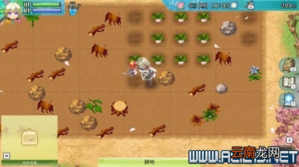 符文工房4特别版怎么玩 符文工房4sp新手教程图文全解析 基本操作