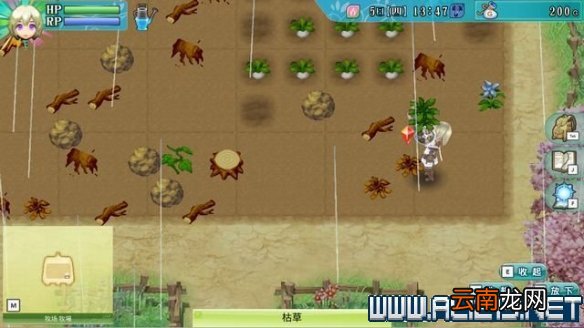 符文工房4特别版怎么玩 符文工房4sp新手教程图文全解析 基本操作