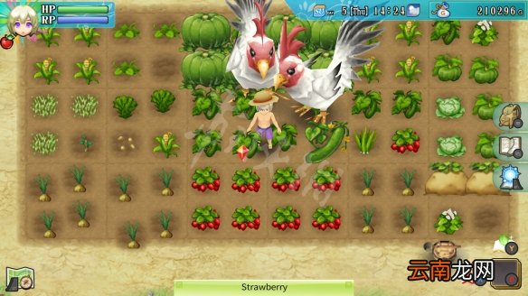 符文工房4特别版钓鱼有什么技巧 符文工房4sp钓鱼小技巧分享