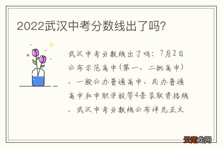 2022武汉中考分数线出了吗？