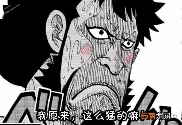 航海王燃烧意志单点爆发排名 航海王燃烧意志单点输出ssr排名介绍