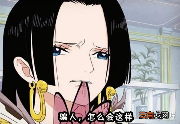 航海王燃烧意志2周年庆是什么时候 航海王燃烧意志周年庆ssr预测