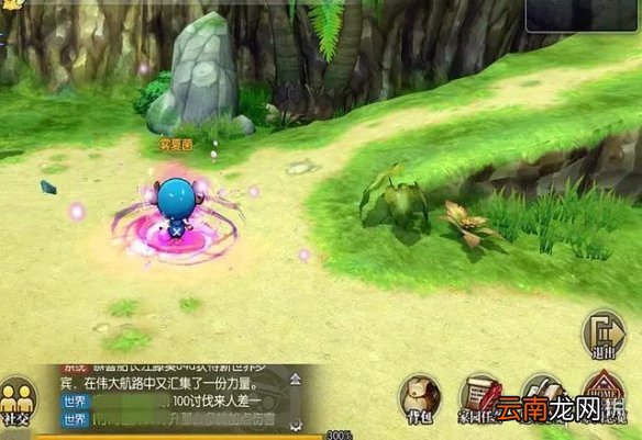 航海王燃烧意志家园玩法怎么样 航海王燃烧意志家园玩法介绍