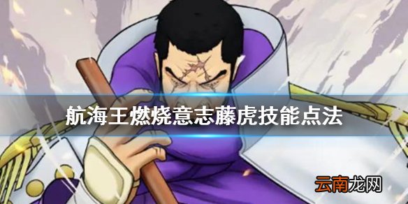 航海王燃烧意志藤虎技能怎么点 航海王燃烧意志藤虎技能加点攻略