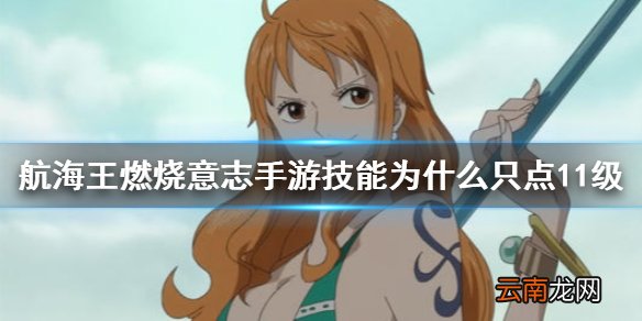 航海王燃烧意志技能只点11级 技能11级