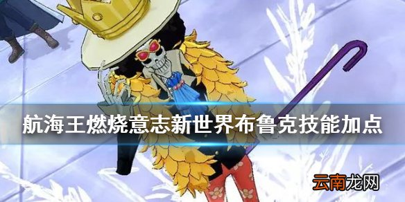 航海王燃烧意志新世界布鲁克技能加点介绍 航海王燃烧意志新世界布鲁克技能怎么点