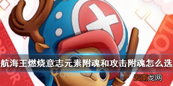 航海王燃烧意志元素伤害好还是攻击好 航海王燃烧意志元素附魂和攻击附魂谁收益高