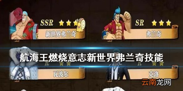 航海王燃烧意志新世界弗兰奇技能 航海王燃烧意志新弗兰奇技能选择和加点