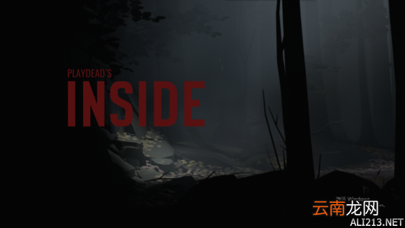 《Inside》全成就指南及隐藏结局达成一览 成就：浑水悠悠