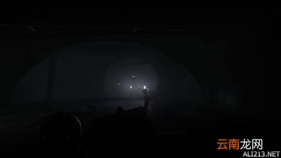 《Inside》通关结局图赏