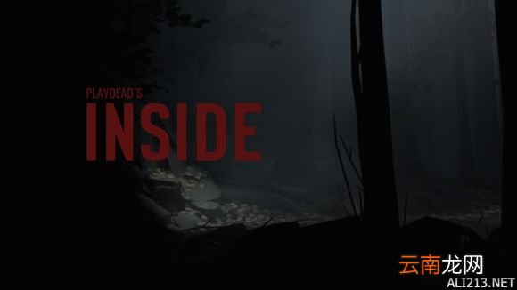 《Inside》有趣细节及关卡设计一览