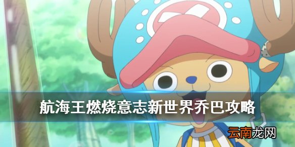 航海王燃烧意志新世界乔巴阵容搭配 新世界乔巴技能加点天赋推荐