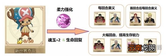 航海王燃烧意志新世界乔巴阵容搭配 新世界乔巴技能加点天赋推荐