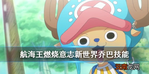 航海王燃烧意志新世界乔巴技能介绍 新世界乔巴奥义天赋终结技一览