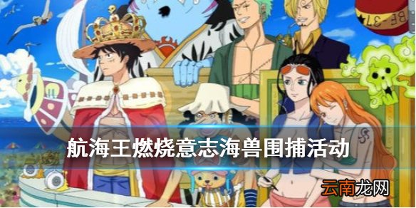 航海王燃烧意志海兽围捕怎么玩 海兽围捕活动玩法介绍