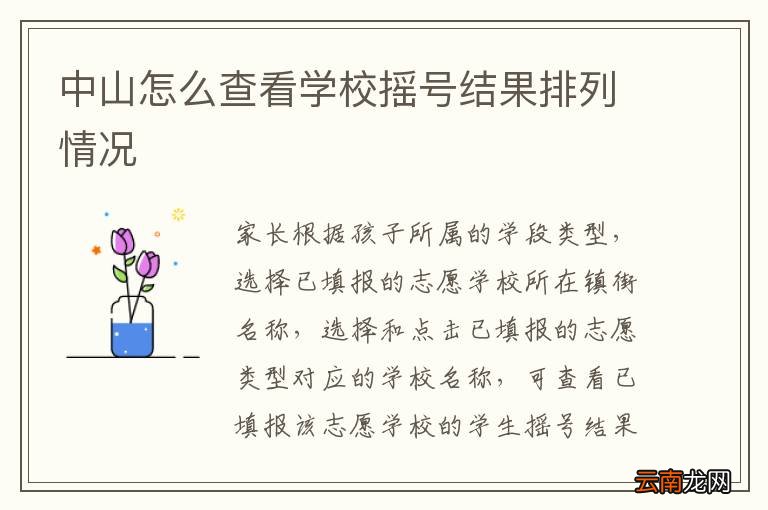 中山怎么查看学校摇号结果排列情况