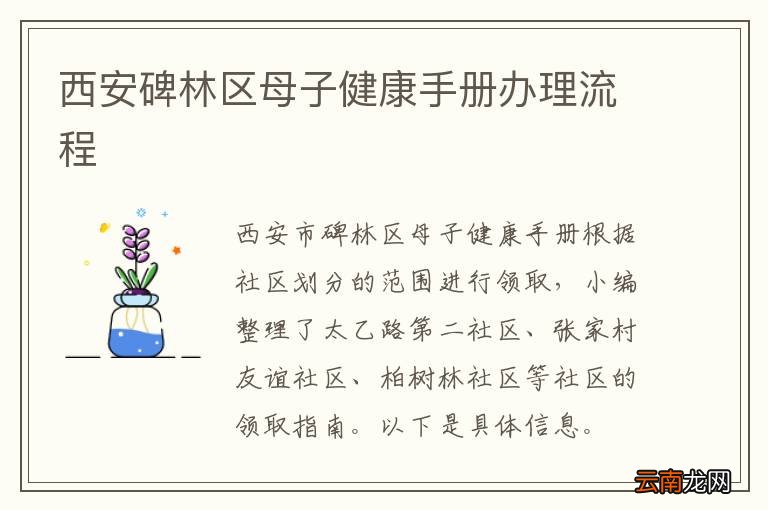 西安碑林区母子健康手册办理流程