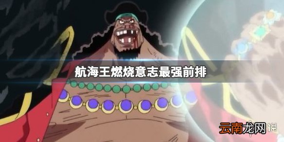 航海王燃烧意志最强前排推荐 航海王燃烧意志最强前排是谁