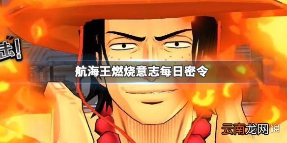 航海王燃烧意志公众号密令大全 今日密令汇总