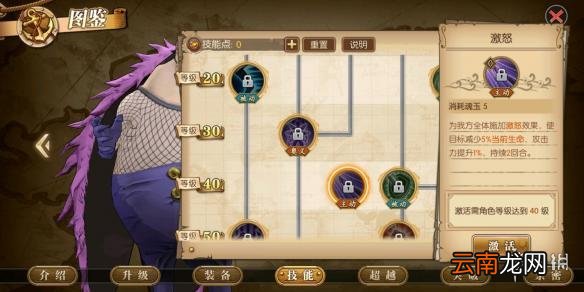 航海王燃烧意志豪格巴克技能是什么 豪格巴克技能介绍