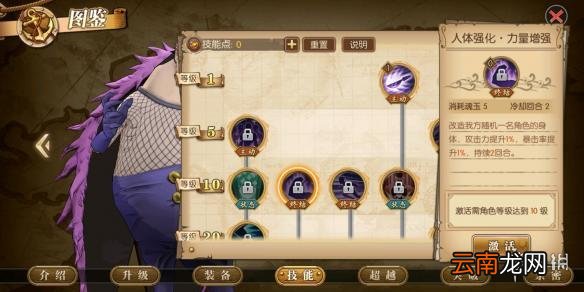 航海王燃烧意志豪格巴克技能是什么 豪格巴克技能介绍