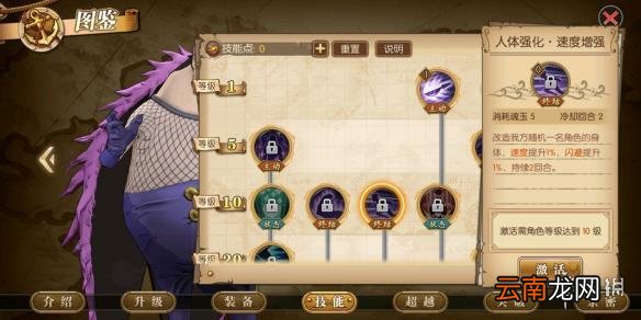 航海王燃烧意志豪格巴克技能是什么 豪格巴克技能介绍