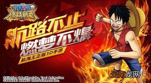 航海王燃烧意志七日累计登录奖励是什么 七日累计登录奖励汇总