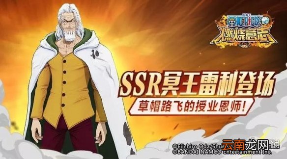 航海王燃烧意志限定SSR哪个好 竞技场限定SSR登场率排行榜