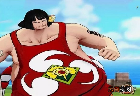 《航海王燃烧意志》哪些限定SSR英雄适合PVP 限定SSR英雄定位划分