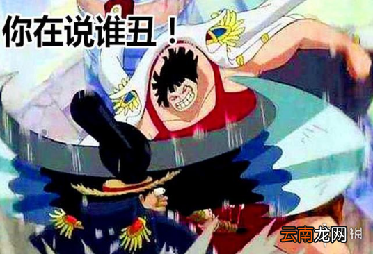 航海王燃烧意志战桃丸宝石装备怎么搭配 宝石装备搭配攻略