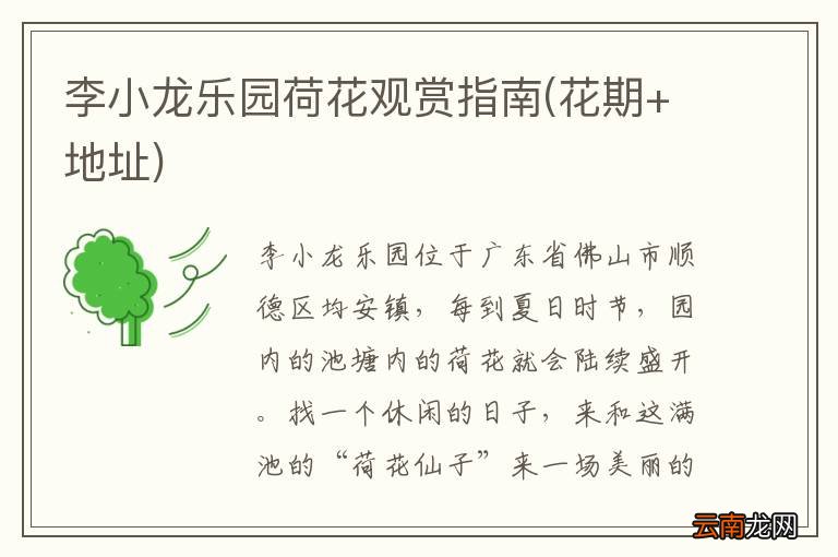 花期+地址 李小龙乐园荷花观赏指南