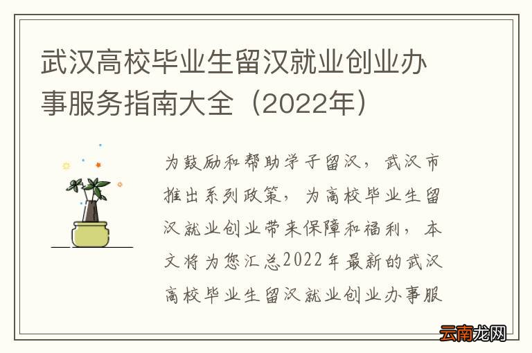 2022年 武汉高校毕业生留汉就业创业办事服务指南大全