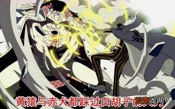 航海王燃烧意志三大将还值得玩吗 三大将目前版本的玩法套路