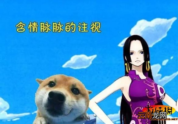 航海王燃烧意志套装搭配技巧 灵活搭配2+2
