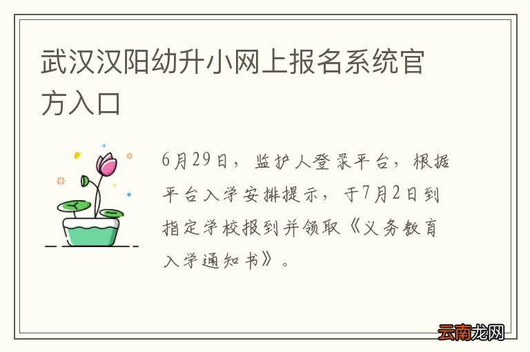 武汉汉阳幼升小网上报名系统官方入口