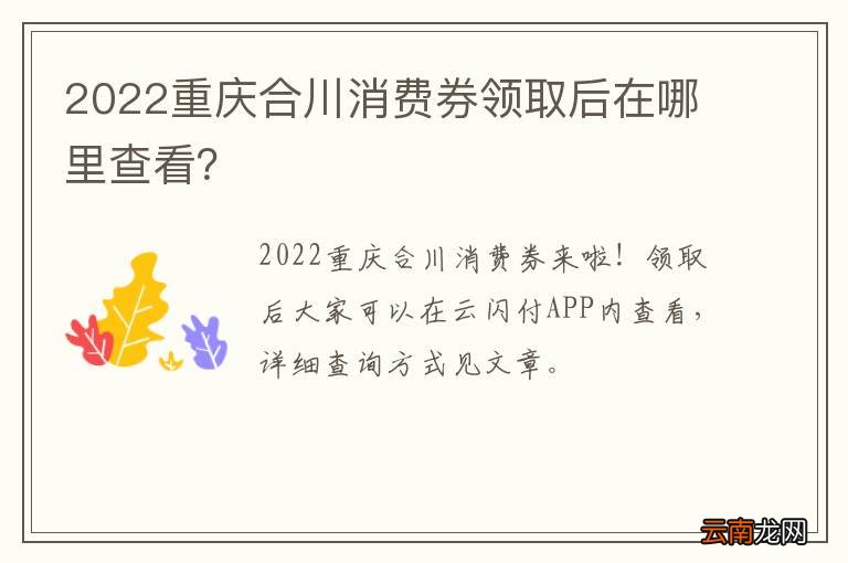 2022重庆合川消费券领取后在哪里查看？