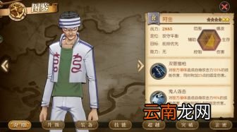 航海王燃烧意志打boss神卡 过剧情角色推荐